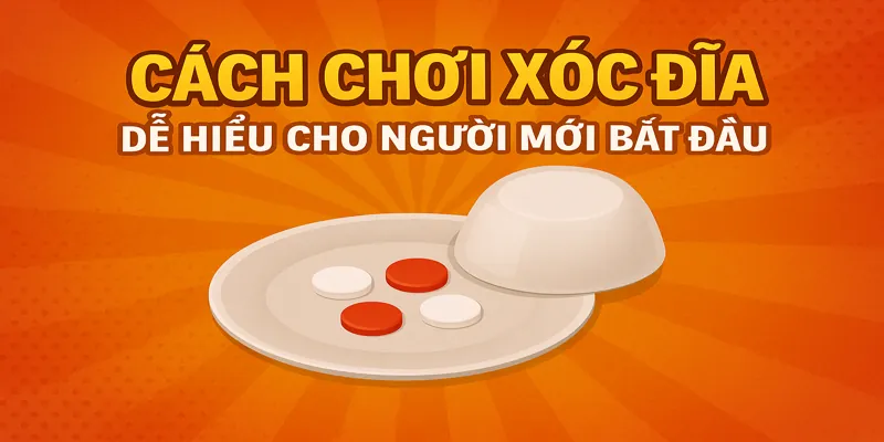 Cách Chơi Xóc Đĩa Dễ Hiểu Cho Người Mới Bắt Đầu
